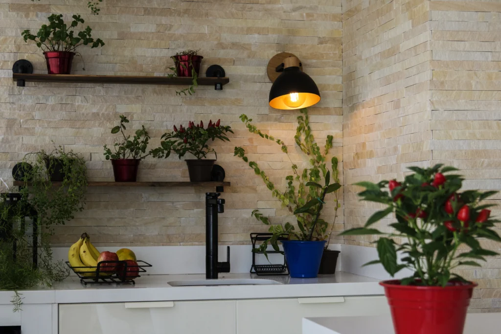 <img src="cozinha-moderna-decorada-com-plantas.webp" alt="Cozinha moderna decorada com plantas em vasos coloridos, prateleiras de madeira e iluminação elegante, proporcionando um ambiente acolhedor e contemporâneo.">