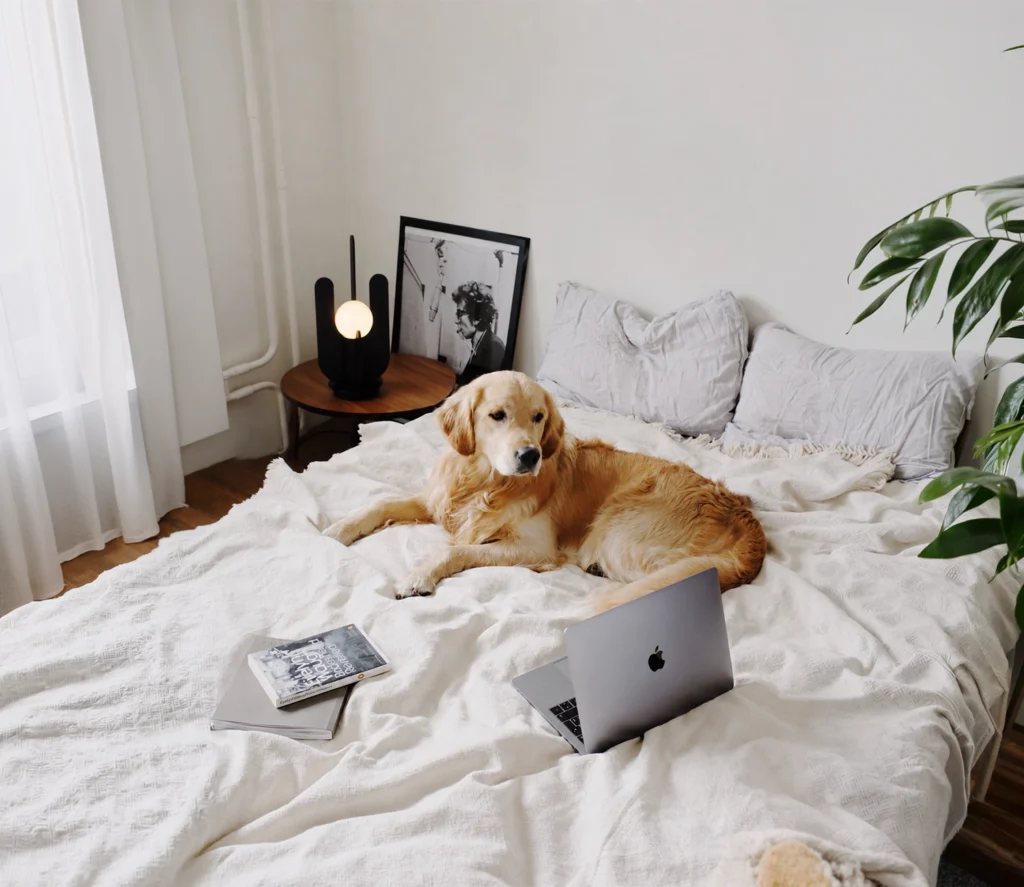 Iluminação inteligente para pets - luminária de mesa em um quarto.