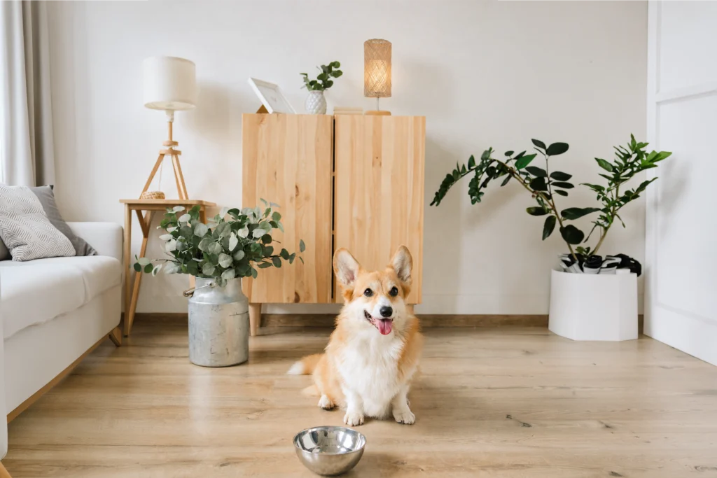 Luminária de mesa - iluminação para pets