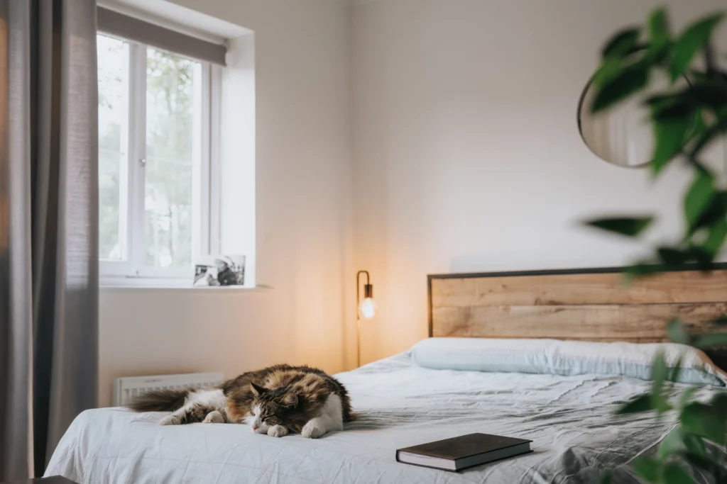 Iluminação para pets - quarto com luminária de mesa