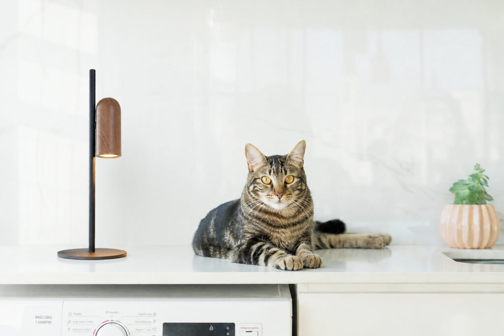 Iluminação para pets - lavanderia com luminária de mesa focal